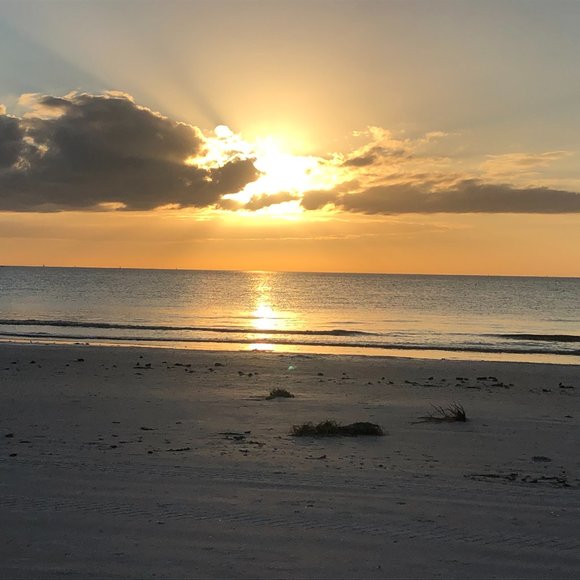 Meet your Posher, Jamie - Picture 3 of 9